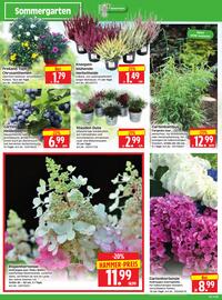 Herkules Baumarkt Prospekt woche 34 Seite 4
