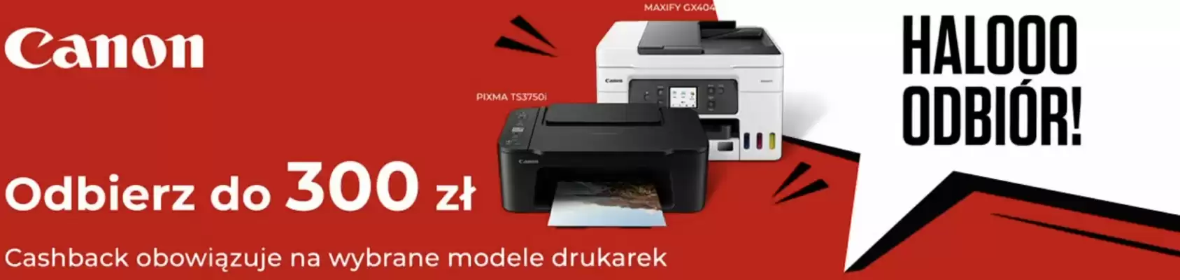 Alsen gazetka (ważność do 23-08)