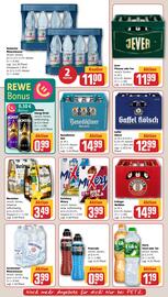 REWE PETZ Prospekt woche 34 Seite 16