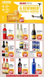 REWE PETZ Prospekt woche 34 Seite 17
