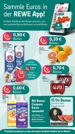 REWE PETZ Prospekt woche 34 Seite 2