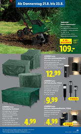 Lidl Flugblatt woche 34 Seite 25
