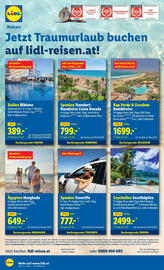 Lidl Flugblatt woche 34 Seite 20