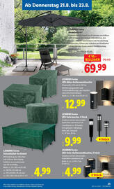 Lidl Flugblatt woche 34 Seite 25