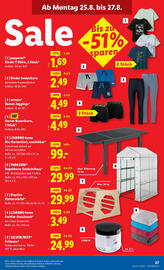 Lidl Flugblatt woche 34 Seite 29