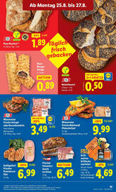 Lidl Flugblatt woche 34 Seite 37