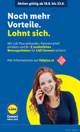 Lidl Flugblatt woche 34 Seite 45