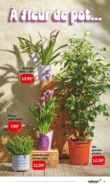 Catalogue Colruyt page 7