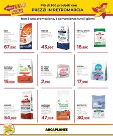 Volantino Arcaplanet Pagina 20