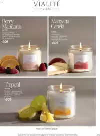 Catálogo Vianney Página 147