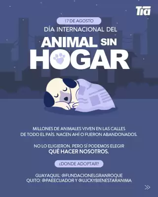 Catálogo Tia (válido hasta 18-08)