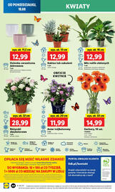 Lidl gazetka Strona 64