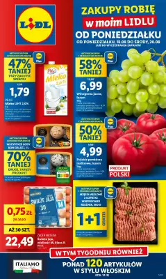 Lidl gazetka