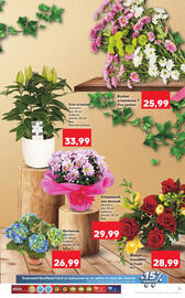 Catalog Kaufland săptămâna 34 Pagină 21