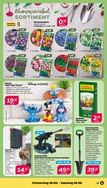 NETTO Prospekt woche 35 Seite 19