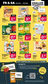 NETTO Prospekt woche 35 Seite 27