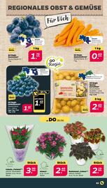 NETTO Prospekt woche 35 Seite 3