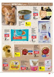 Volantino Carrefour Market Pagina 13