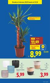 Folleto Lidl semana 35 Página 23