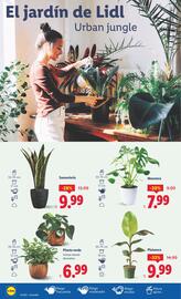 Folleto Lidl semana 35 Página 24