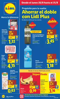 Folleto Lidl