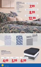 Folleto Lidl | de Bazar Página 8