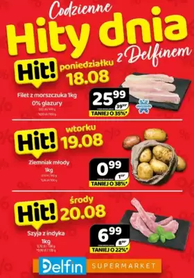 Delfin gazetka (ważność do 20-08)
