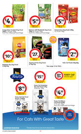 Coles catalogue week 34 Page 41