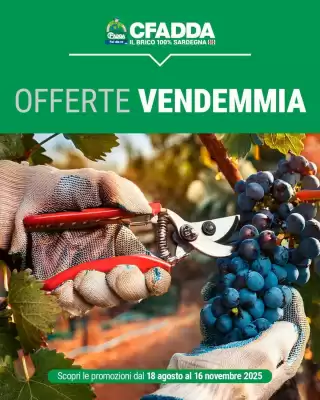 Volantino Cfadda (valido fino al 16-11)