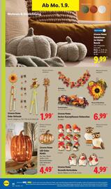 Lidl Prospekt woche 36 Seite 10