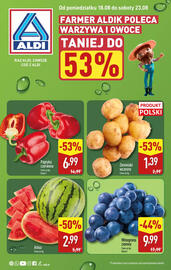 ALDI gazetka tydzień 34 Strona 1