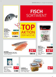 Transgourmet Flugblatt woche 35 Seite 13