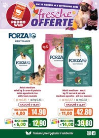 Volantino Elite Pet Pagina 2