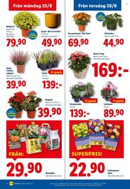 Lidl reklamblad vecka 35 Sida 20