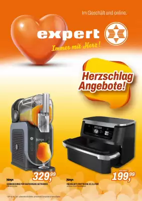 Expert Flugblatt