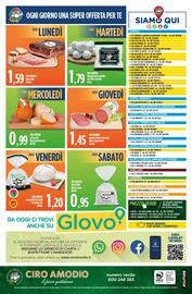 Volantino Ciro Amodio Pagina 13