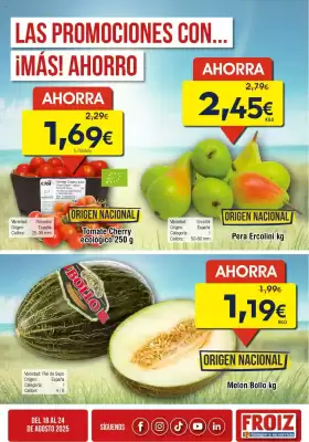 Folleto FROIZ (válido hasta el 24-08)
