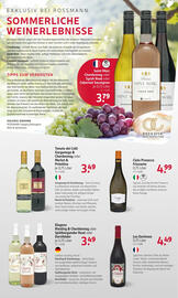 Rossmann DE folder Pagina 16