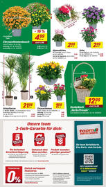 toom Baumarkt Prospekt woche 34 Seite 4