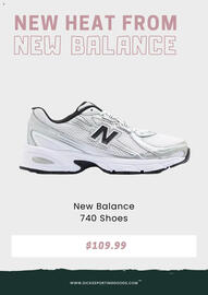 Dick's Sporting Goods Weekly Ad Page 4