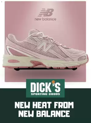 Dick's Sporting Goods Weekly Ad (valid until 11-09)