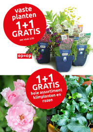 Deka Tuin folder Pagina 6