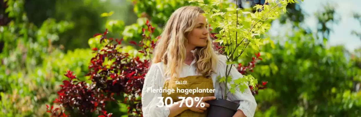 Hageland kundeavis (gyldig til 23-08)
