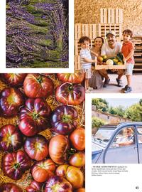 Spinneys catalogue Page 43