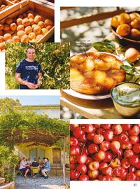 Spinneys catalogue Page 51