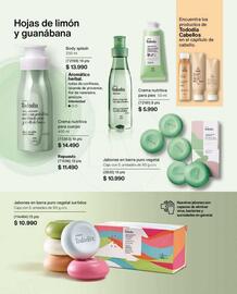 Catálogo Natura Página 102