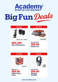 Academy Weekly Ad week 34 Page 3