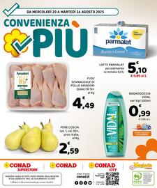 Volantino Conad Margherita settimana 34 Pagina 8