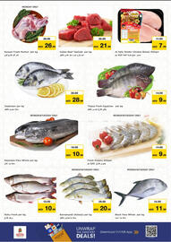 Nesto catalogue Page 13