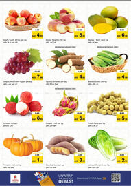 Nesto catalogue Page 14